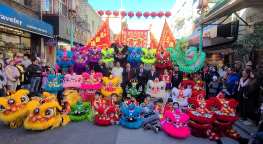 Lion Dance & arti marziali - storia del Dragon Poi parte 2