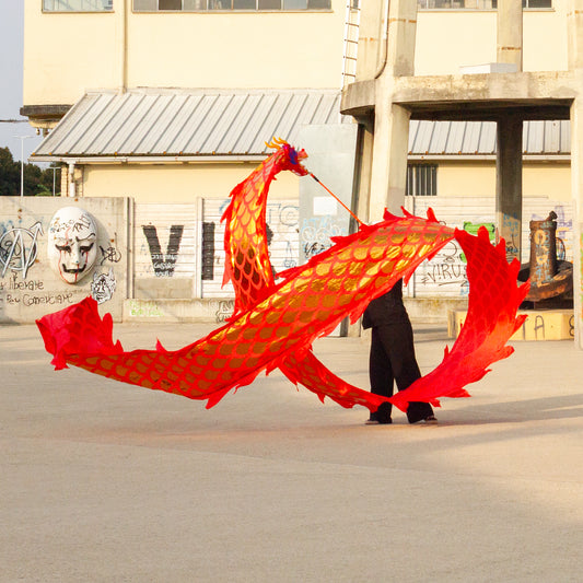 Dragon Poi Classico