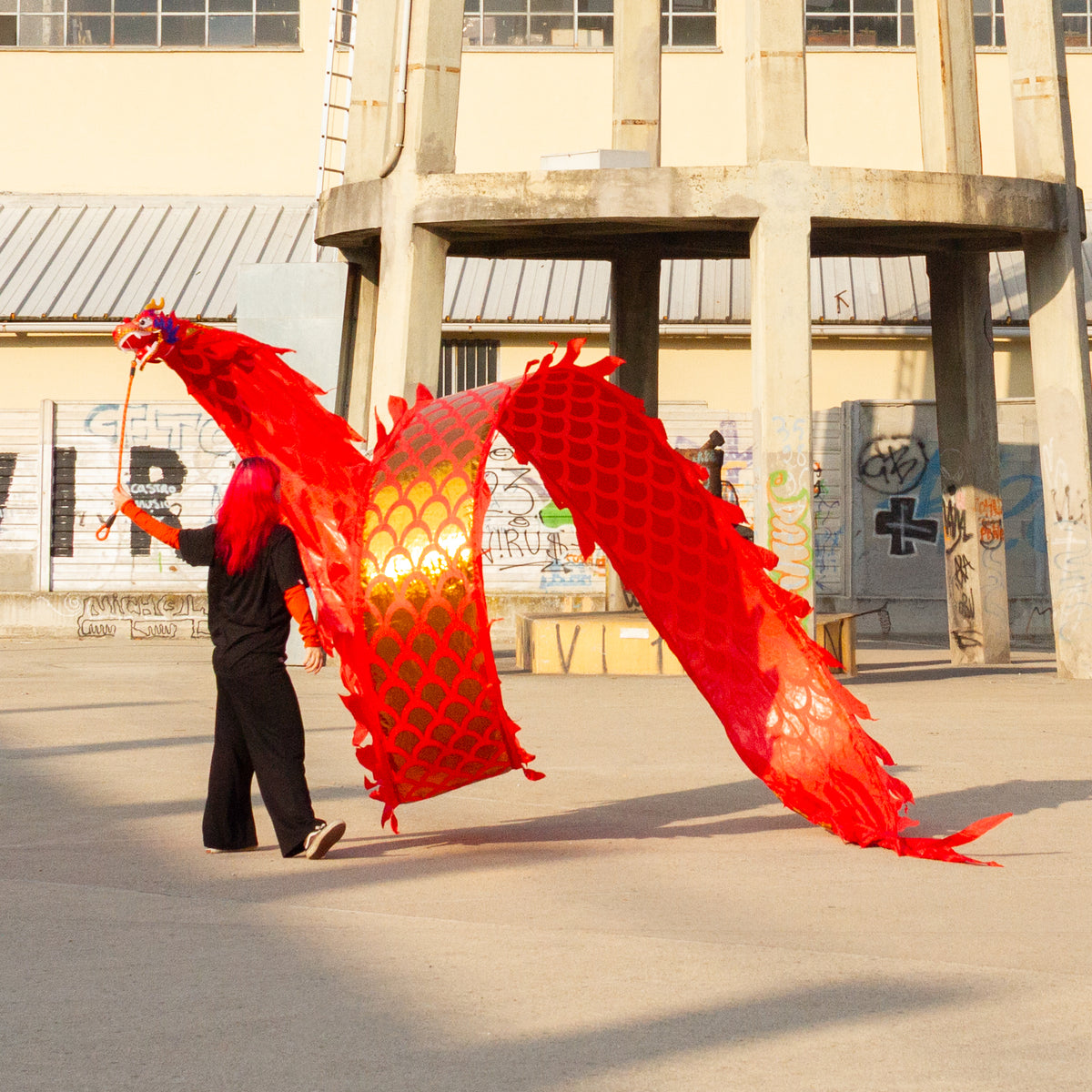 Dragon Poi Classico