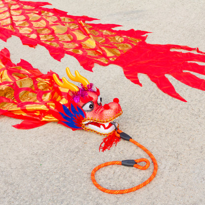 Dragon Poi Classico