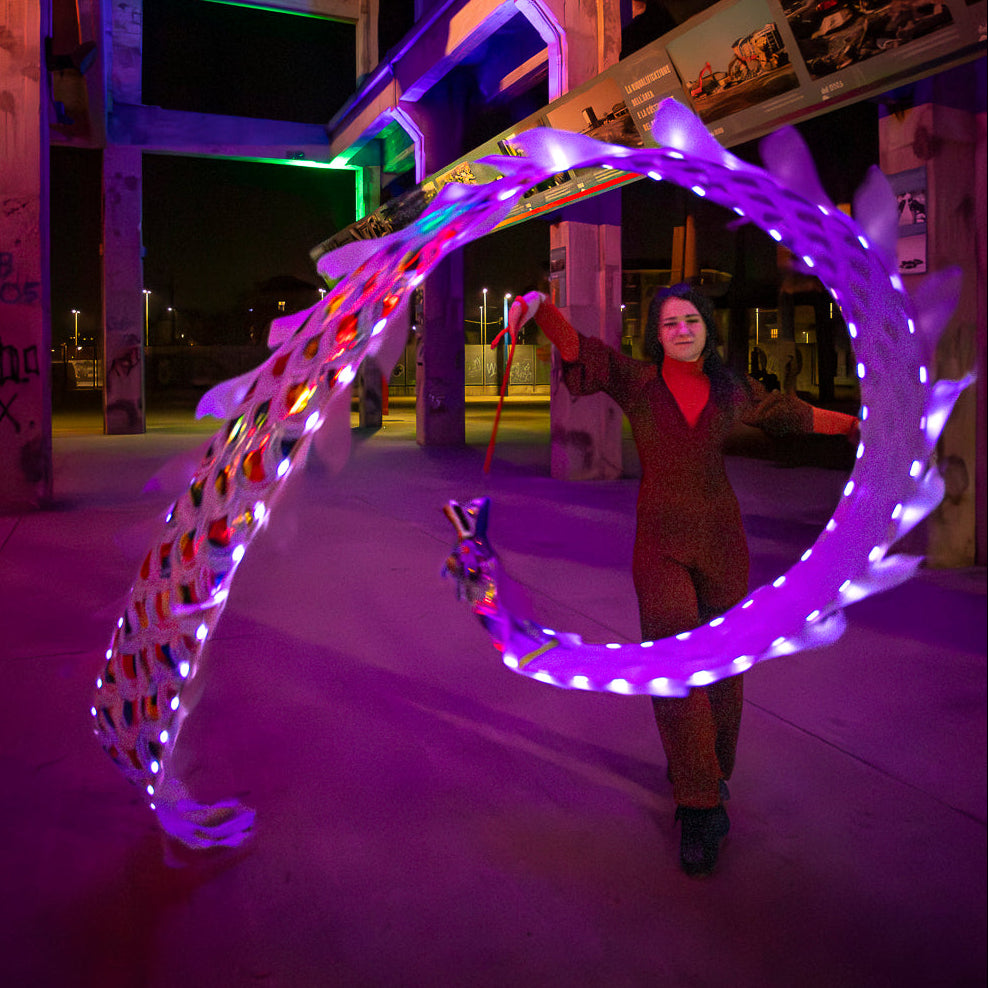 Dragon Poi Mini Led