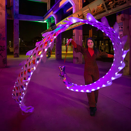 Dragon Poi Mini Led