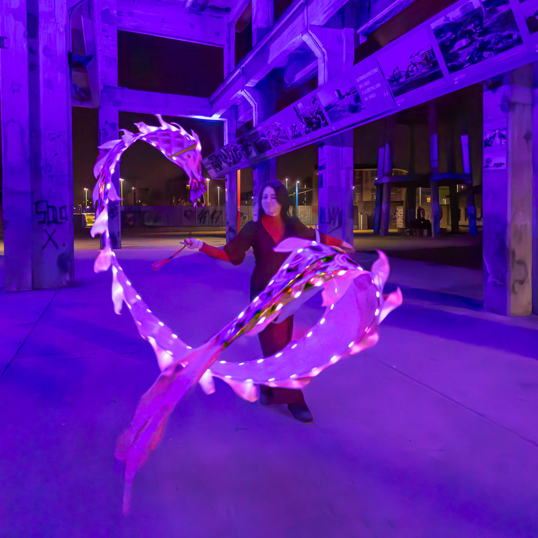 Dragon Poi Mini Led